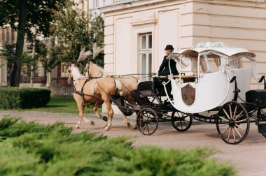 A charming carriage with horses moves along a scenic pathway. A driver in classic attire guides the carriage past lush greenery and historical architecture. clipart