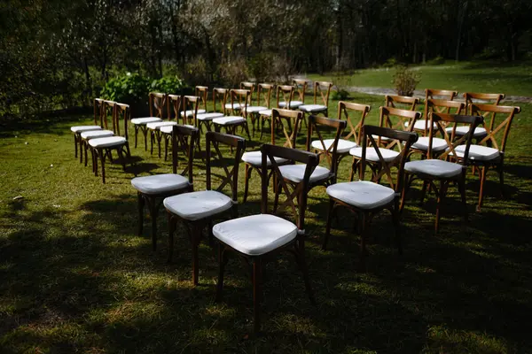 Etrafı yeşilliklerle çevrili, toplanma ya da seremoni için ideal, beyaz yastıklı ahşap sandalyeler..