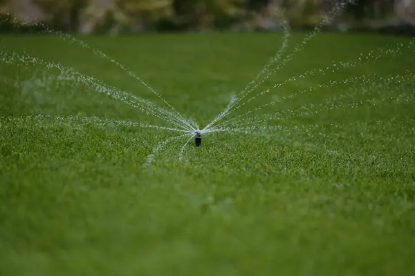 Çimenlik fıskiye sistemi suyu verimli bir şekilde yemyeşil çimlerin üzerine dağıtır, sağlıklı büyümeyi ve canlı otları teşvik eder..