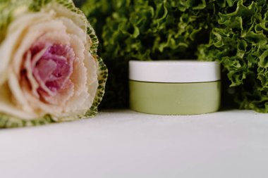 Yeşil kozmetik krem kavanozu taze yapraklı yeşilliklerle çevrili ve organik güzellik için dekoratif bir çiçek..