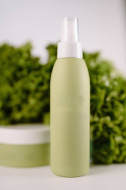 Taze doğal yapraklı cilt bakımı ya da güzellik ürünleri için izole edilmiş yeşil kozmetik sprey şişesi..
