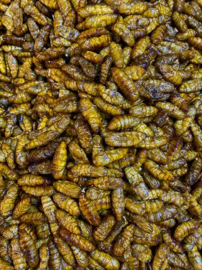 İpek böceğinden kızarmış böcekler, Tayland mutfağı.