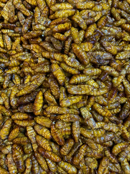 Insectos Fritos Gusano Seda Cocina Tailandesa Mercado Alimentos Callejeros —  Fotos de Stock