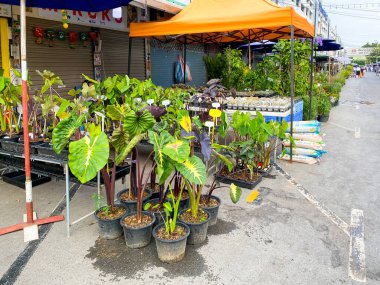 Bangkok Tayland - 3 Ocak 2023: Chatuchak hafta sonu pazarında birçok fabrika satışı