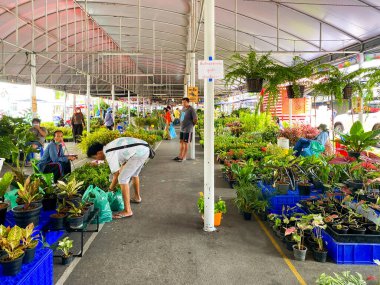 Bangkok Tayland - 3 Ocak 2023: Chatuchak hafta sonu pazarında birçok fabrika satışı