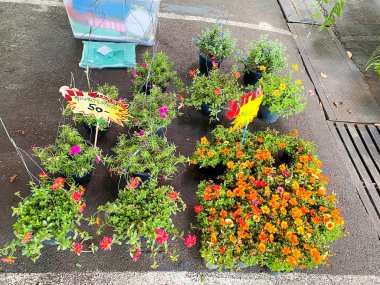 Bangkok Tayland - 3 Ocak 2023: Chatuchak hafta sonu pazarında birçok fabrika satışı