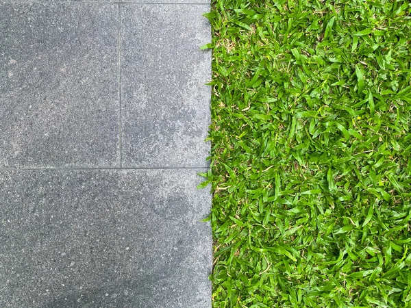 Grass Growing Concrete Wall Background — Photo
