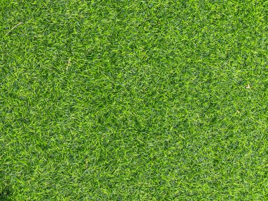 Artificial grass for outdoor building decoration