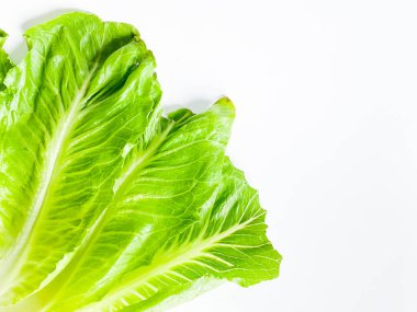 Taze yeşil çünkü marul yaprağı beyaz arkaplanda izole edilmiş..