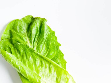 Taze yeşil çünkü marul yaprağı beyaz arkaplanda izole edilmiş..