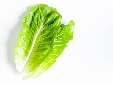 Taze yeşil çünkü marul yaprağı beyaz arkaplanda izole edilmiş..