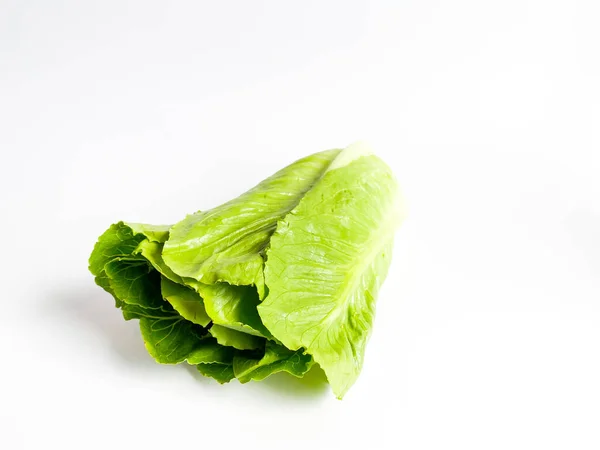 Fresh Green Cos Lettuce Leaf Isolate White Background — Stock Photo, Image