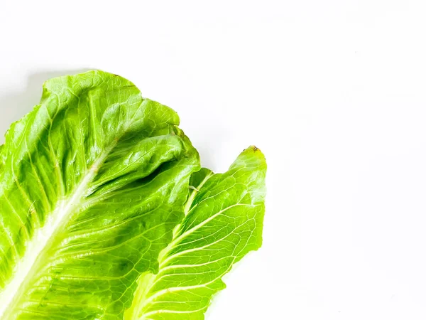 Stock image Fresh green cos lettuce leaf isolate on white background.