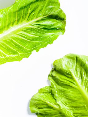 Taze yeşil çünkü marul yaprağı beyaz arkaplanda izole edilmiş..
