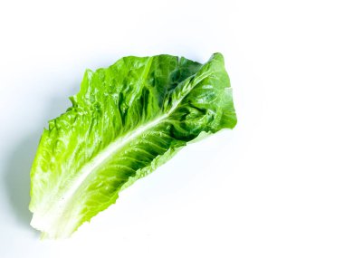 Taze yeşil çünkü marul yaprağı beyaz arkaplanda izole edilmiş..