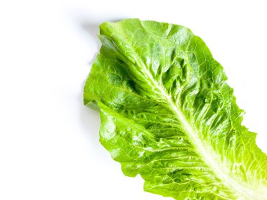 Taze yeşil çünkü marul yaprağı beyaz arkaplanda izole edilmiş..