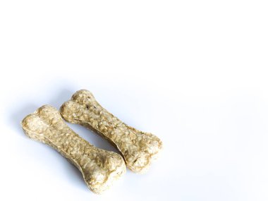 Köpek, beyaz arka planda kemik çiğniyor.