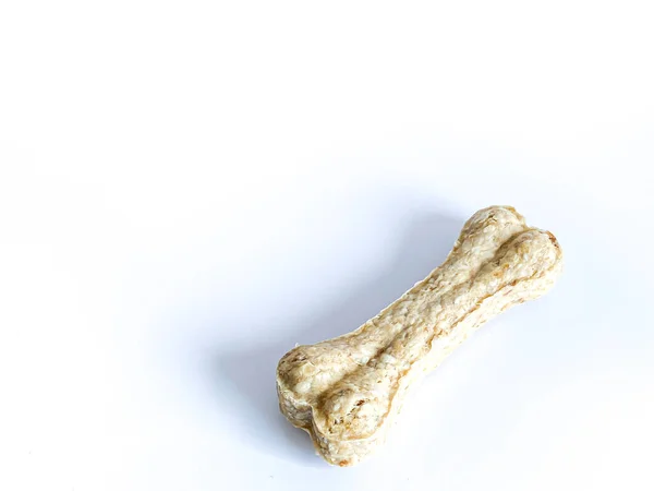 Hond Kauwen Bot Stick Witte Achtergrond — Stockfoto