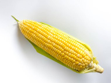 Beyaz arka plan üzerinde izole taze sarı mısır