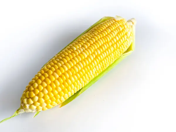 Fresh Yellow Corn Isolated White Background — Stock Photo, Image