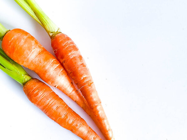 Fresh carrot root vegetables on white background