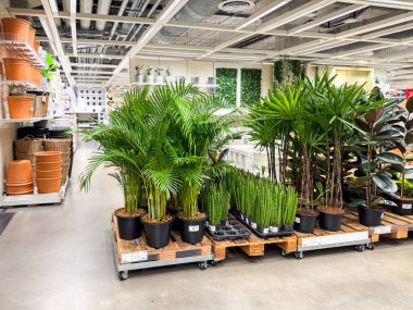 Bangkok Tayland - 13 Nisan 2025: Tayland 'daki IKEA mağazasının içi. IKEA Bangna dünyanın en büyük mobilya perakendecisi..