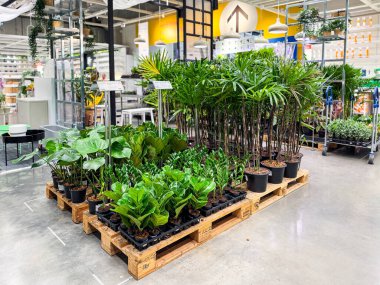 Bangkok Tayland - 13 Nisan 2025: Tayland 'daki IKEA mağazasının içi. IKEA Bangna dünyanın en büyük mobilya perakendecisi..