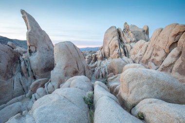 Kaliforniya 'daki Joshua Tree Ulusal Parkı. Joshua Tree Ulusal Parkı 'ndaki dramatik katmanlı kayaların önünde. Küresel sıcaklık.