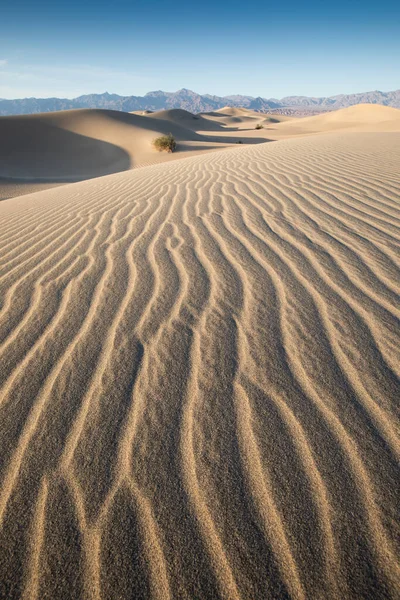 Vista Panoramica Sul Modello Naturale Sabbia Ondulata Durante Alba Mesquite — Foto Stock