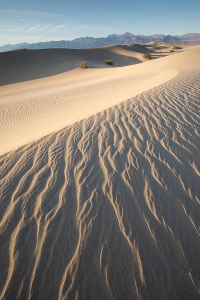 Scenic View Natural Ripple Sand Pattern Sunrise Mesquite Flat Sand — Stock Photo, Image