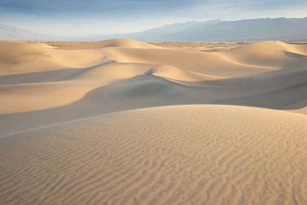 Vista Panoramica Sul Modello Naturale Sabbia Ondulata Durante Alba Mesquite — Foto Stock
