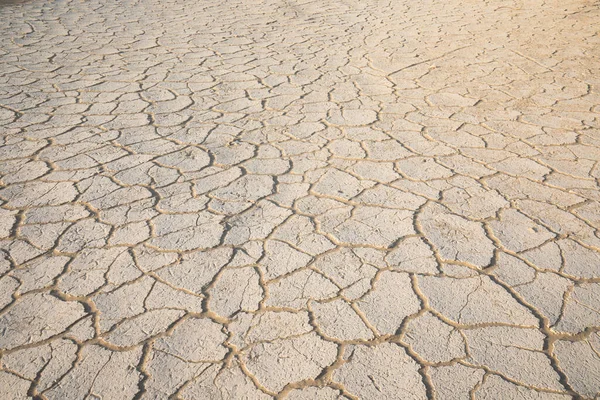 stock image Global warming, drought, lack of rain, no seasonality The land is cracked. concept of environment change and global warming background