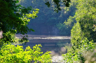 Yaz ormanındaki güzel nehir.