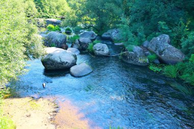 Czech Cumhuriyeti 'nin güzel doğası
