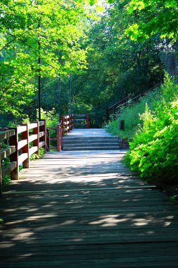 Çok eski Drevlyan kalesi. 1800 yıl önce..