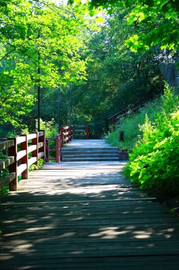 Çok eski Drevlyan kalesi. 1800 yıl önce..
