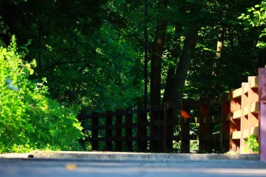 Parktaki tahta köprü.