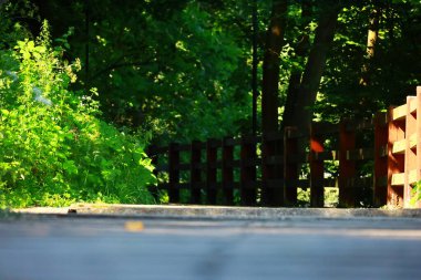 Şehir parkının güzel manzarası
