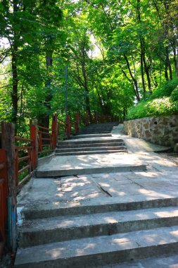 Parkın güzel manzarası