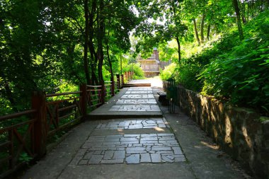 Parkın güzel manzarası