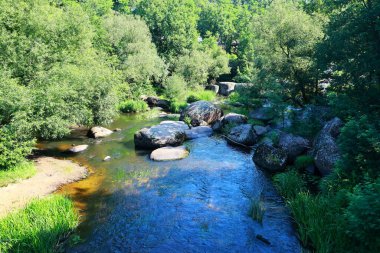dağlarda ormandaki güzel şelale