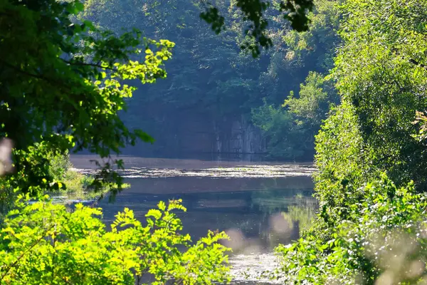 Yaz ormanındaki güzel nehir.