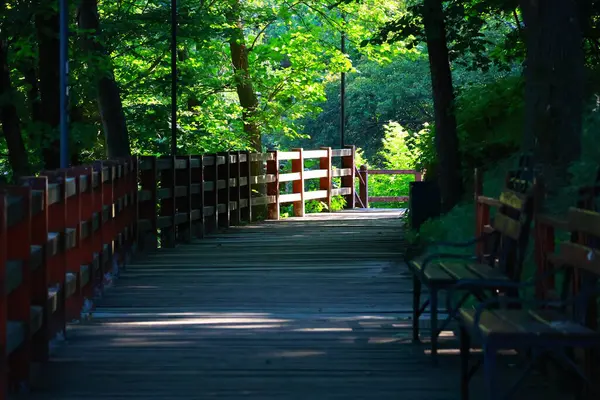 Çok eski Drevlyan kalesi. 1800 yıl önce..