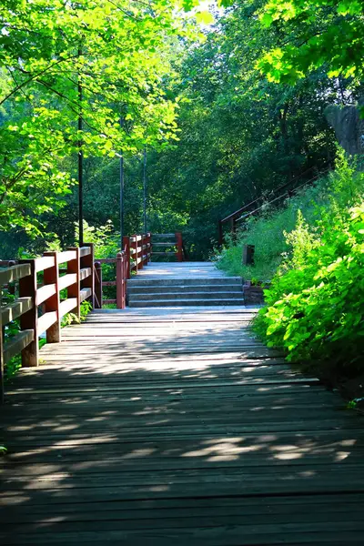 Çok eski Drevlyan kalesi. 1800 yıl önce..