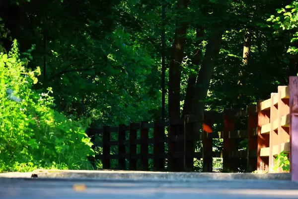 Parktaki tahta köprü.