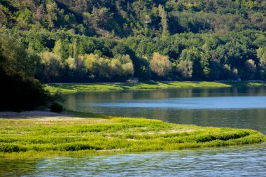 ormanda güzel bir nehir