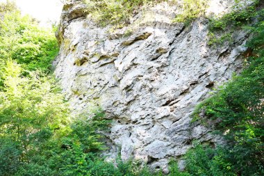 Kayaları, ağaçları ve bitkileri olan güzel dağ ormanları
