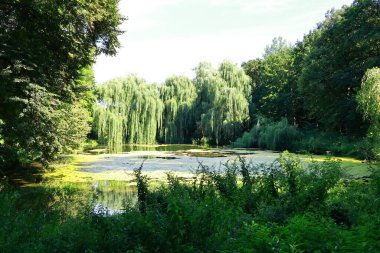 Güzel göl manzarası