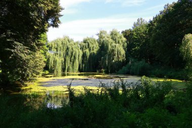 Doğanın güzel manzarası