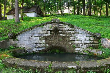 Bahçede küçük bir taş